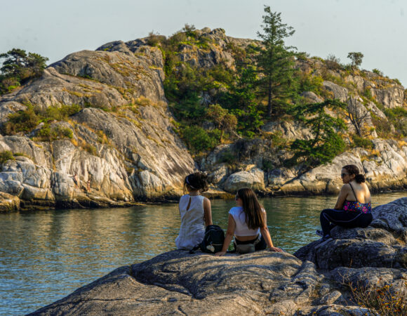 DSC08309-1-580×450 (1)